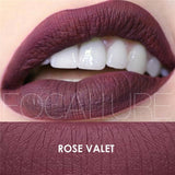 FOCALLURE Matte Liquid Lipstick Matte Chocolate Scented