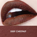 FOCALLURE Matte Liquid Lipstick Matte Chocolate Scented